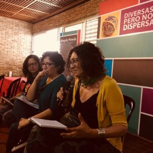 democracias ameacadas3