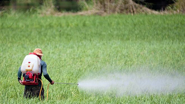 Agrotóxicos: Recife lidera ranking nacional de intoxicação [“De olho nos ruralistas”]