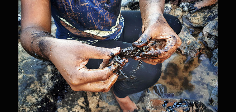 As cruéis facetas do derramamento de petróleo na vida das pescadoras artesanais em Pernambuco