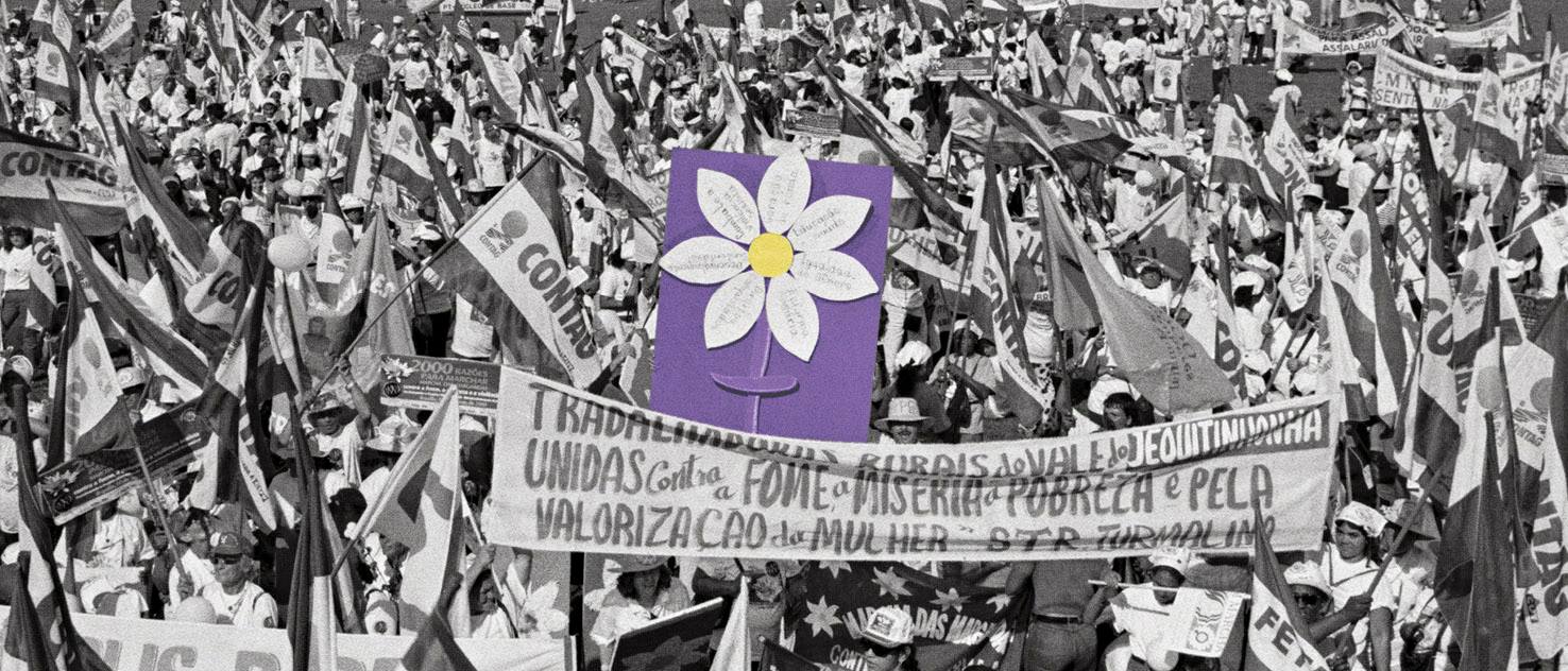 livroMargaridas_ClaudiaFerreira